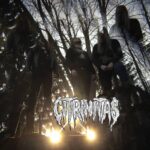 CITRINITASband