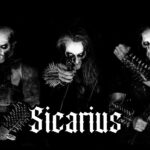 Sicarius_photo1