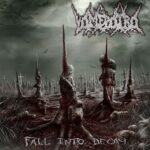 Capa do álbum "Fall Into Decay"