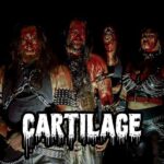 Cartilage-band-3